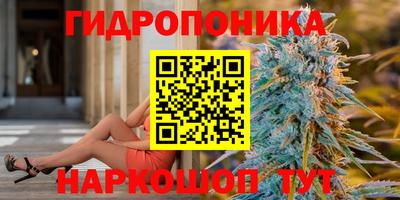 прущая мука Лесосибирск