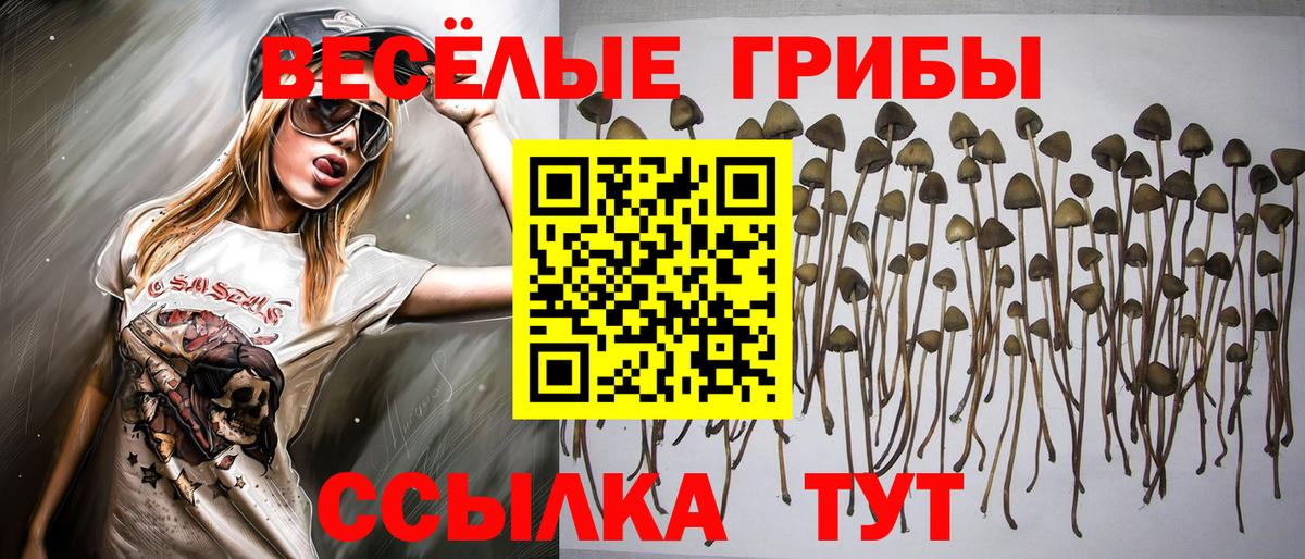 Галлюциногенные грибы Psilocybine cubensis  Псилоцибиновые грибы мухоморы  Вход с VPN  Выборг 